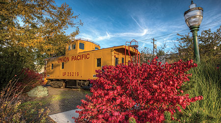 train